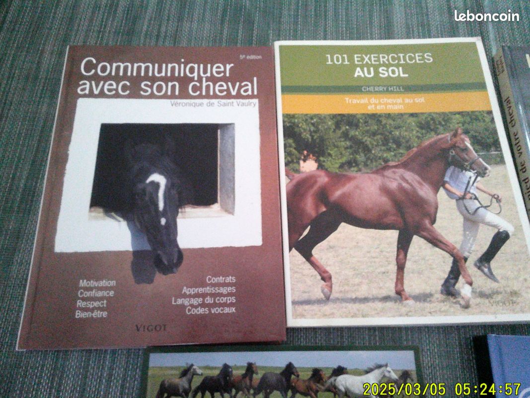 Livres sur les chevaux (image 1)