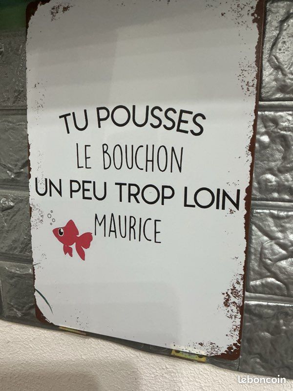 Plaque métal décorative tu pousses le bouchon un peu trop loin, Maurice (image 1)