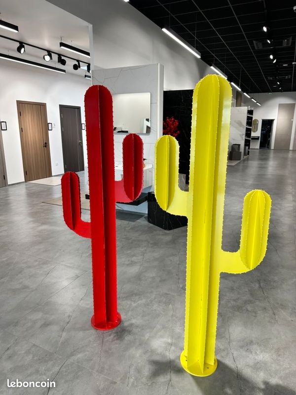 Cactus jardin décoration (image 4)