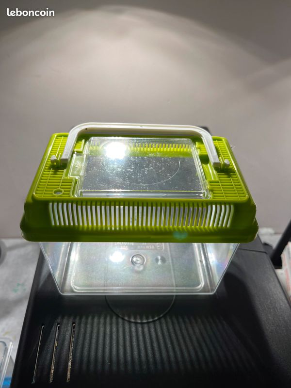 Aquarium complet et accessoires (image 10)