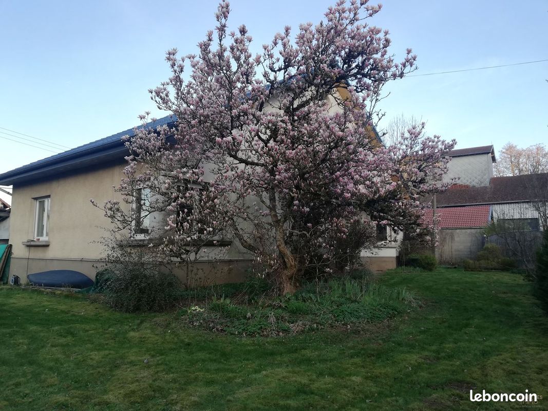 Maison 5 pièces 181 m² (image 15)