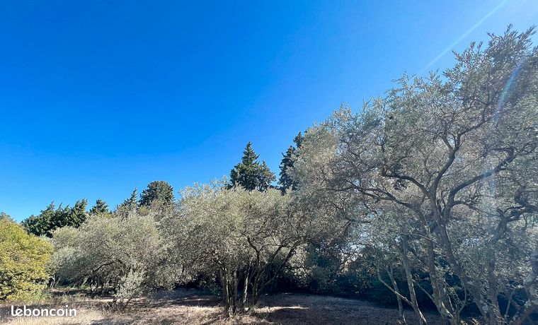 Terrain 636 m² jonquerettes