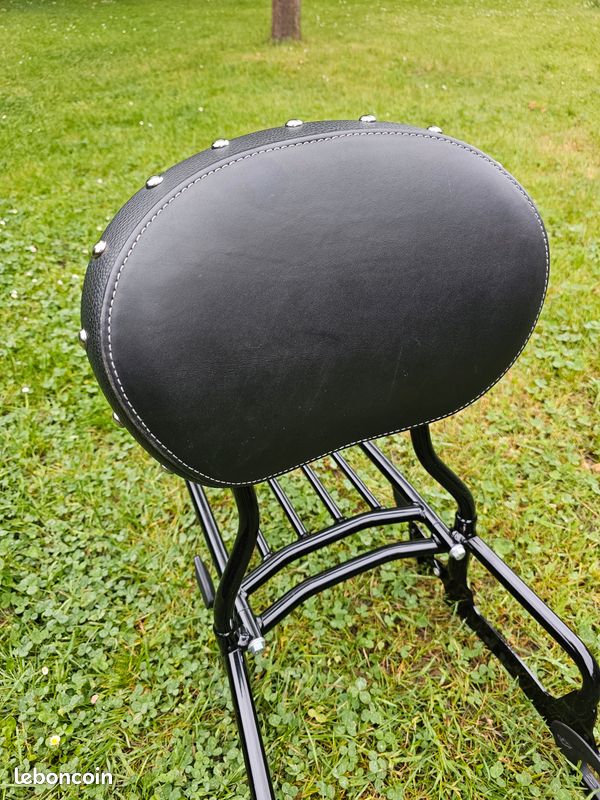 Sissy bar et porte bagage Indian (image 1)