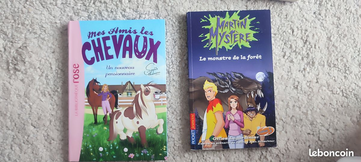 Romans jeunesse facile à lire-Au lot ou à l'unitée (image 6)