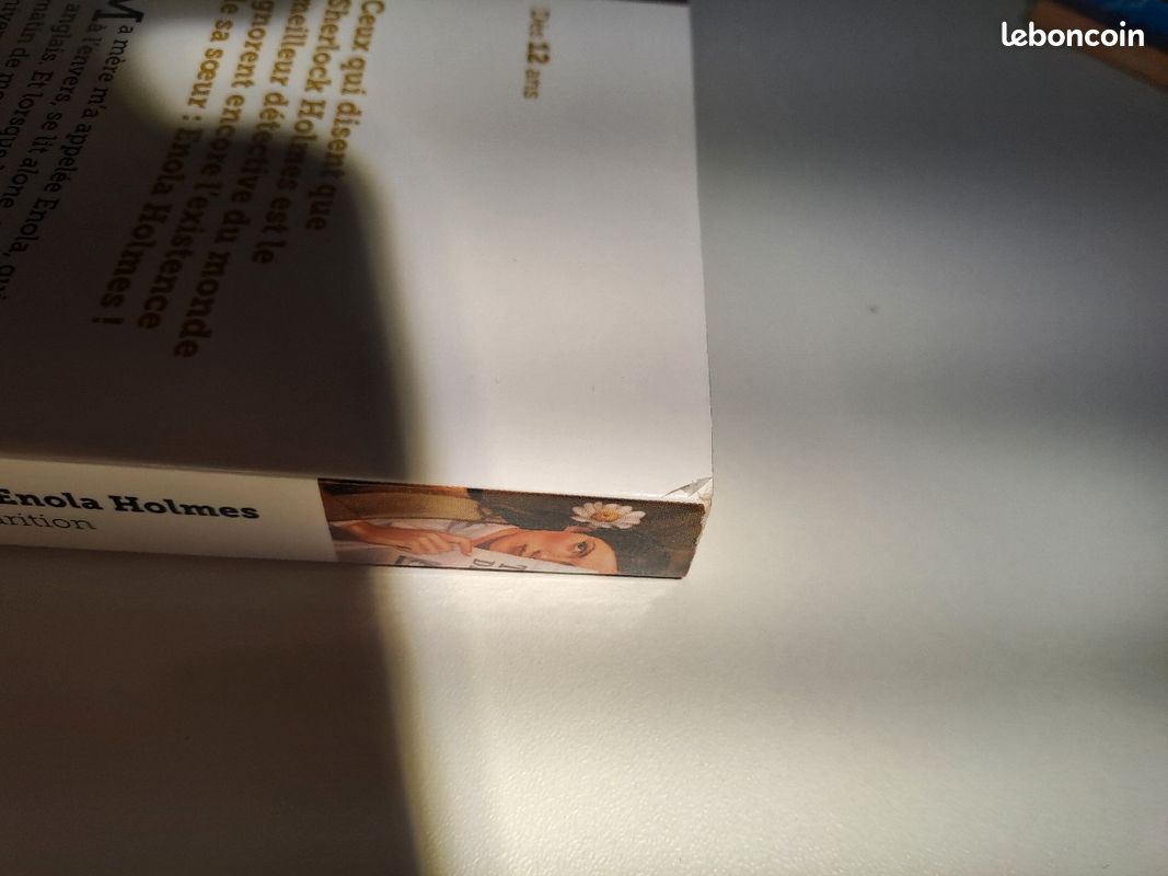 Les enquêtes d'Elona Holmes, Nancy Springer (image 4)