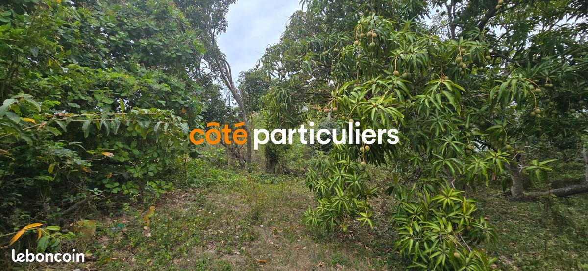 Terrain 601 m² · à Sainte-Anne · 601 m² · 115 000 €