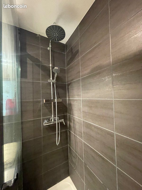 Magnifique appartement au pied du Château (image 8)