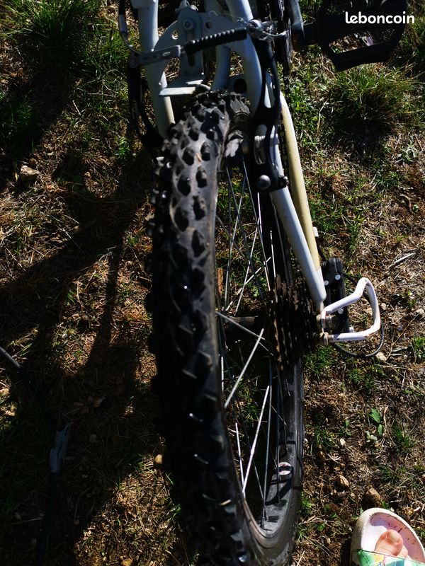 Vélo enfant 8 ans /20 pouces (image 5)