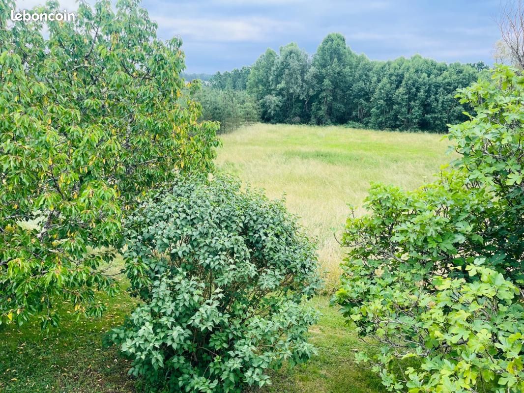 Maison 5 pièces 125 m² (image 7)