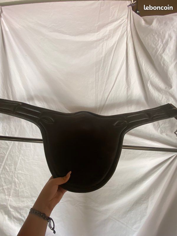 Bavette cheval (image 1)