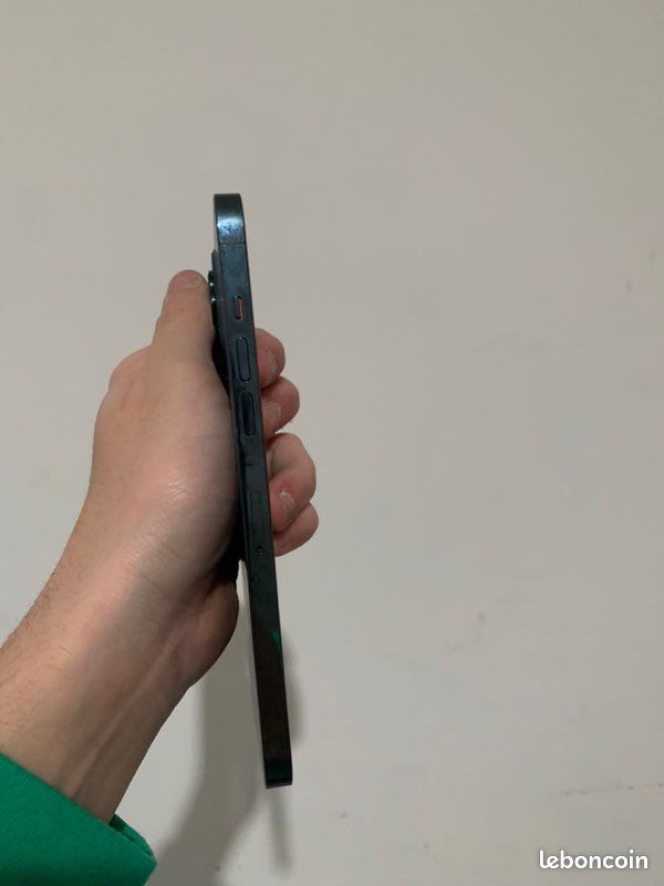 Iphone 12 pro max (image 4)
