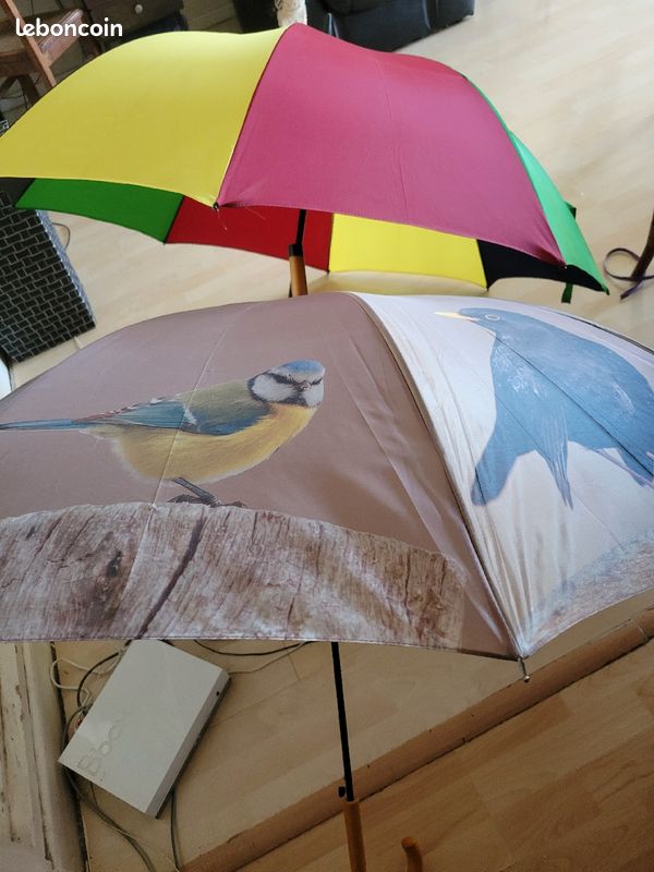 Deux grands parapluies ça corrompt le parapluie (image 1)