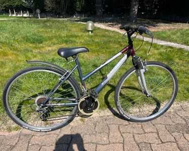 Un VTT Homme Bleu, 21 Vitesses, Freins Disque, Parfait Pour Les Chemins !