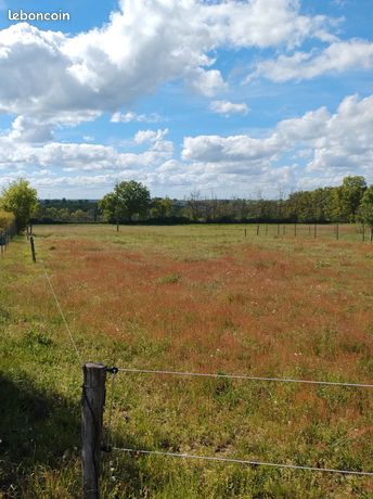 Grand terrain 8 882 m² dont 1 287 m² constructibles