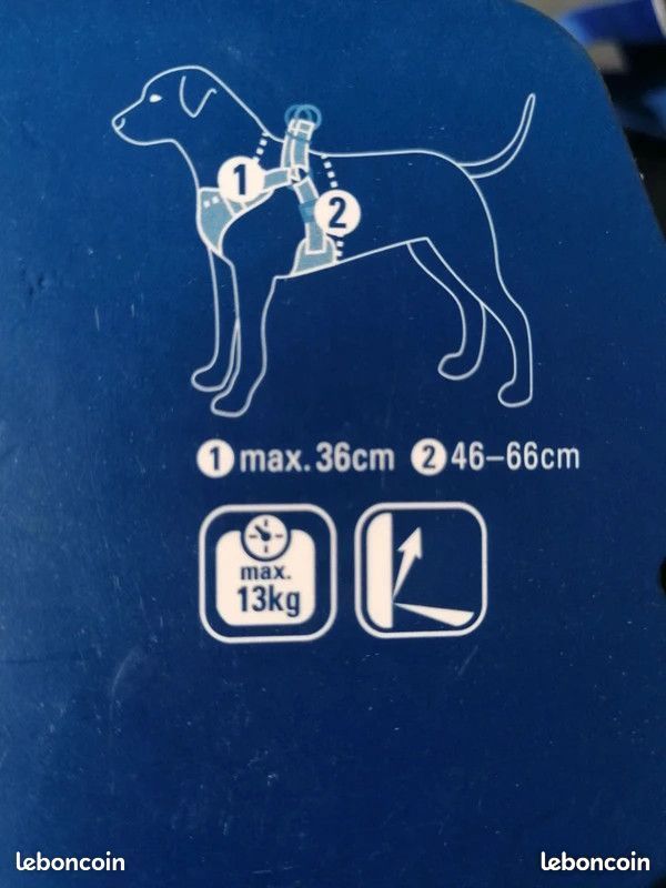 Harnais Chiot AniOne Bleu 46-66 cm (image 3)