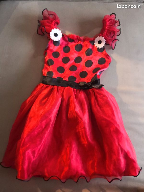 Déguisement coccinelle 6 ans (image 1)