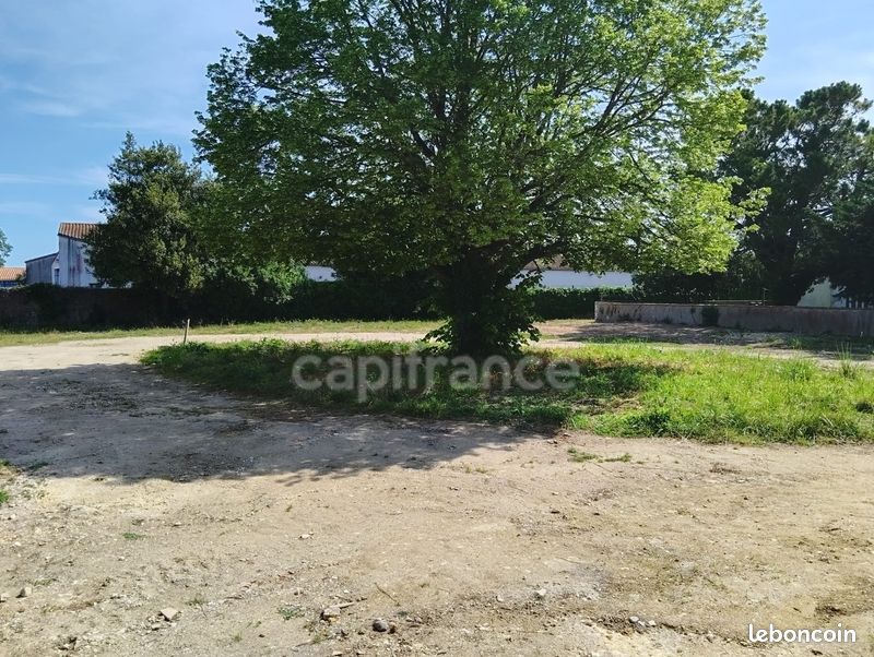 Maison 1 pièce 55 m² (image 4)