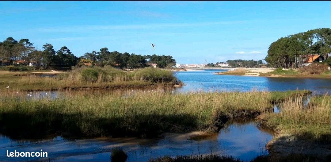 Appartement Mimizan plage (image 10)
