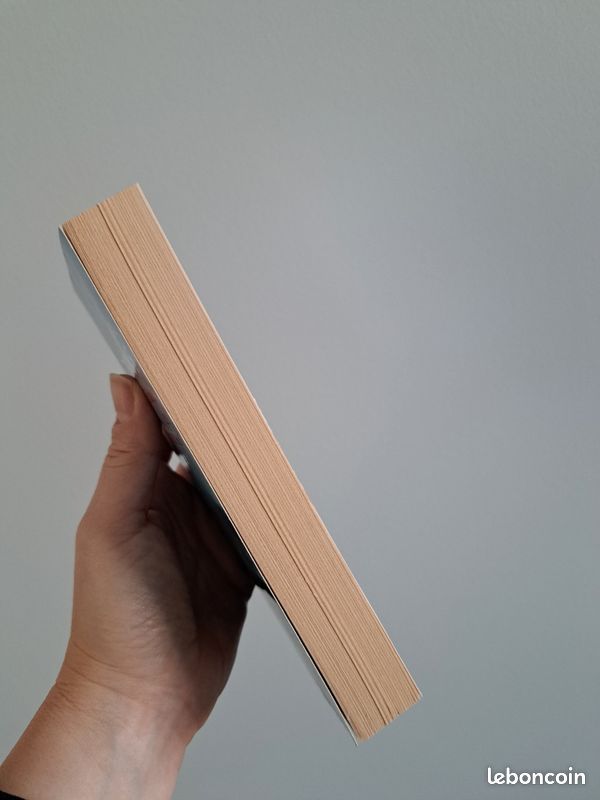 Livre L'échange des princesses (image 6)