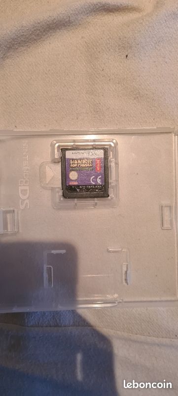Kidpaddle (jeu Nintendo ds) (image 2)