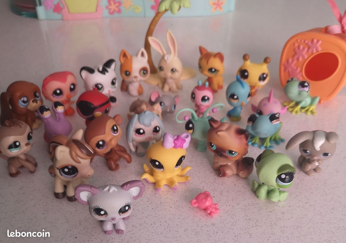 Maison Petshop (image 3)