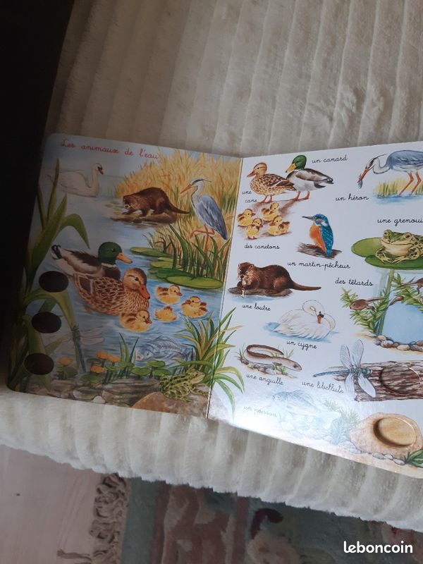 Mini dictionnaire les animaux (image 6)