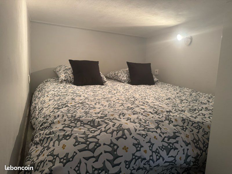 Appartement cœur triangle d’or (image 9)