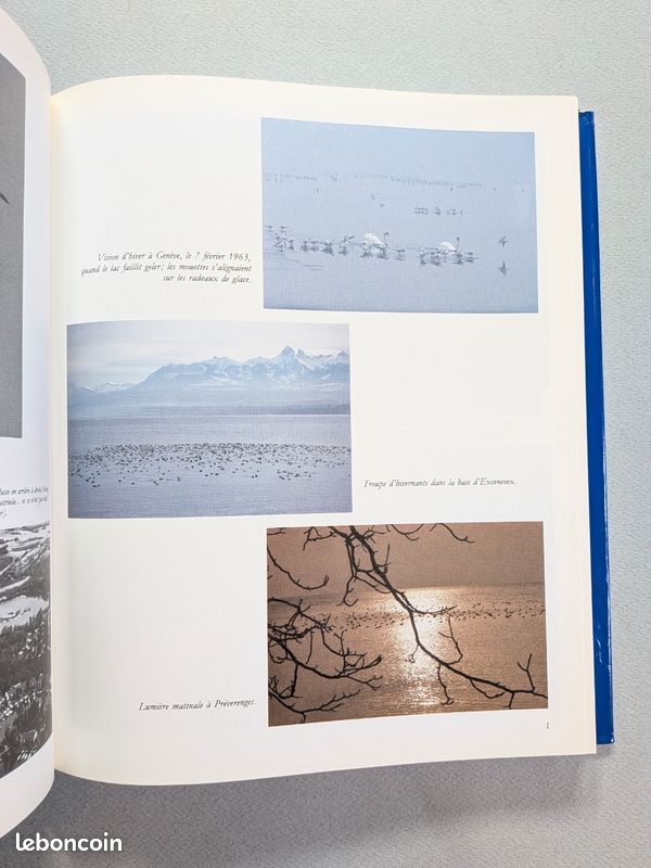Les oiseaux du lac Léman de Paul Géroudet (image 3)