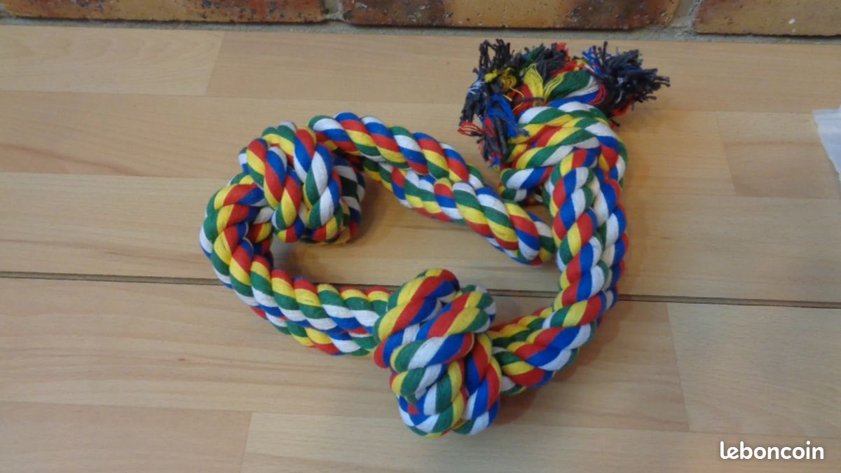 Jouet pour Chiens , Jouet en Corde pour Nettoyage des Dents (image 3)