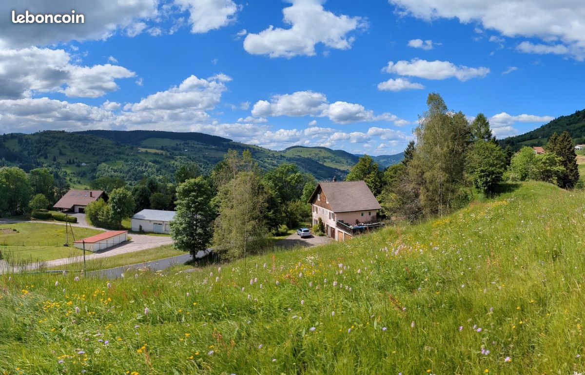 Rare terrain constructible – 800 m d’altitude – Plein sud – La Bresse / Route Gérardmer · 89 000 €