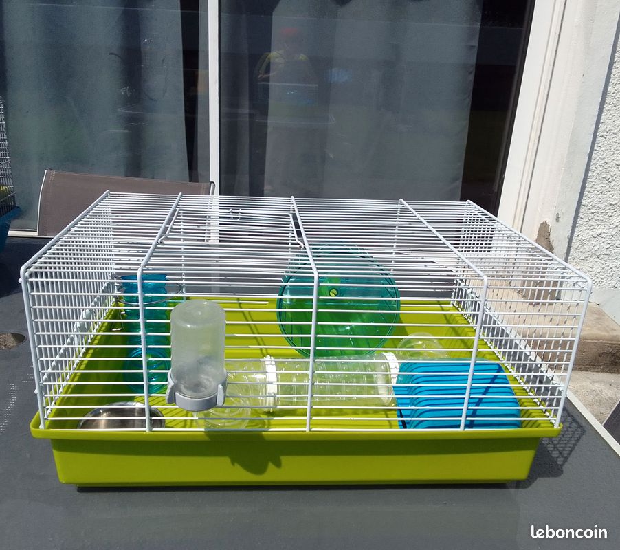 Petite cage hamster (image 1)