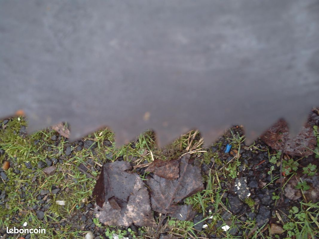 Lame pour banc de scie (image 2)