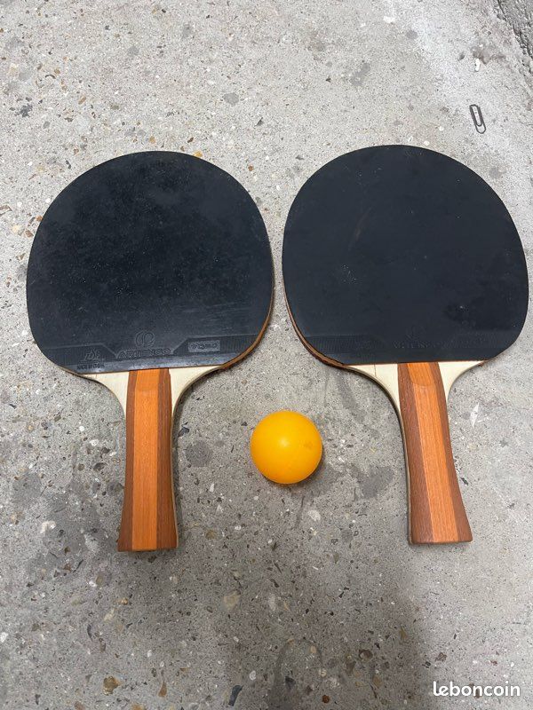 Promo Raquette De Ping Pong chez Auchan