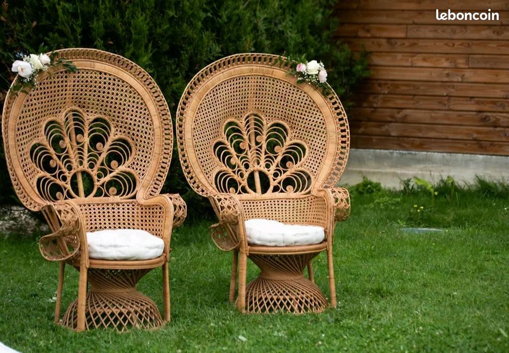 Fauteuil Emmanuelle (image 1)