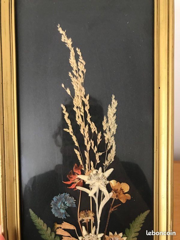 Joli tableau sous verre vintage bouquet fleurs séchées Edelweiss et autres fleurs (image 2)