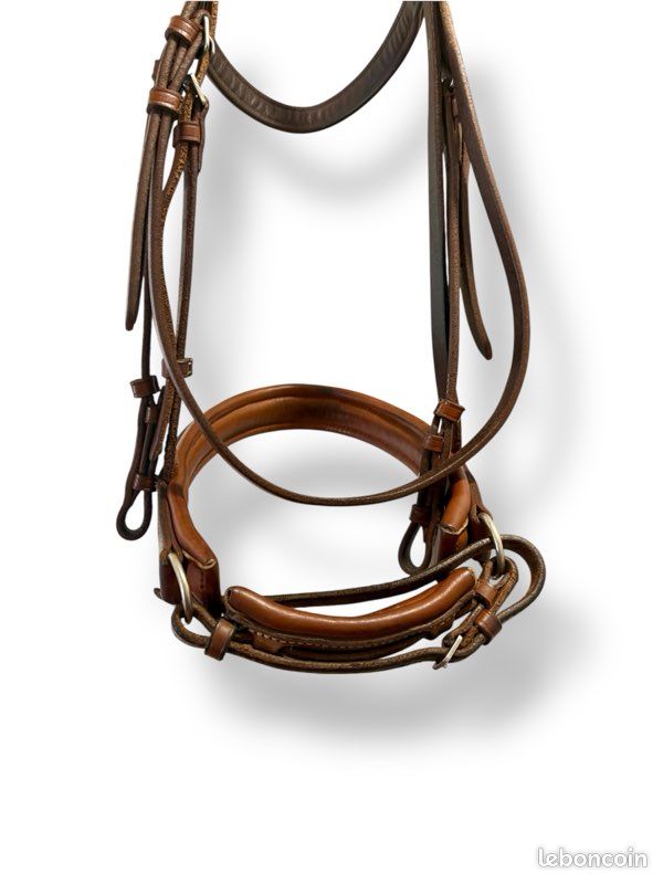 Licou En Cuir Leaders Pour Cheval Taille Full - Marron Rembourré