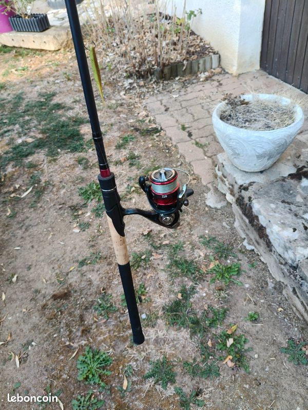 Canne + moulinet drop shot (image 2)