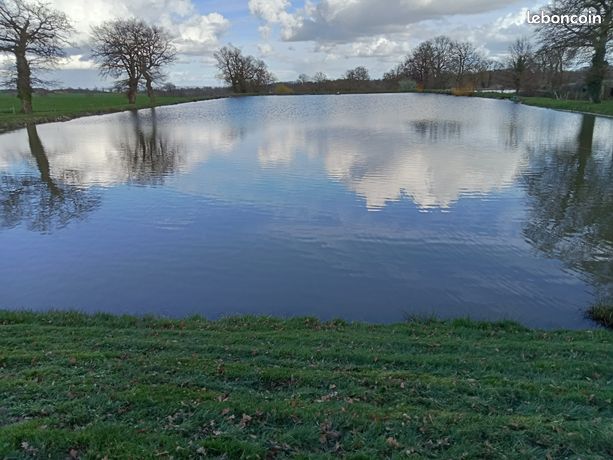 Etang