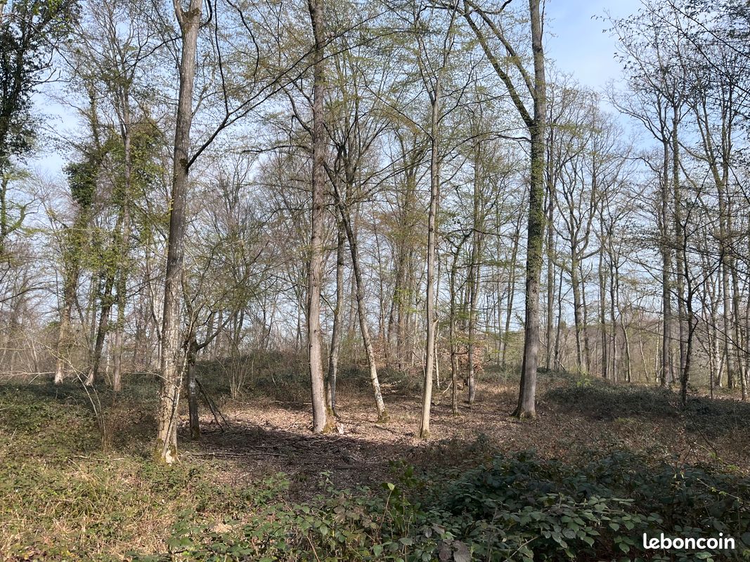 Forêt proche de Soissons dans l'Aisne · 121 000 €