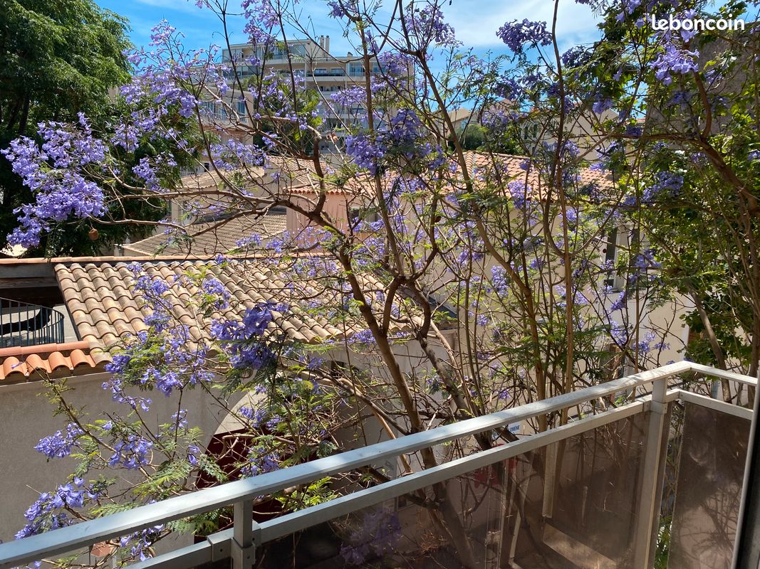 Appartement 1 pièce 31 m² · à Toulon · 31 m² · 620 €/mois
