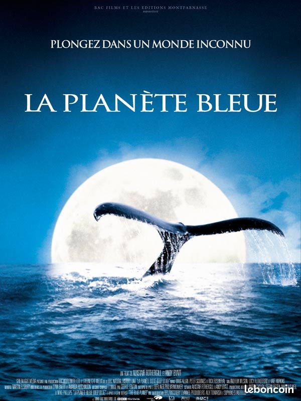 100 bons films en DVD (image 10)