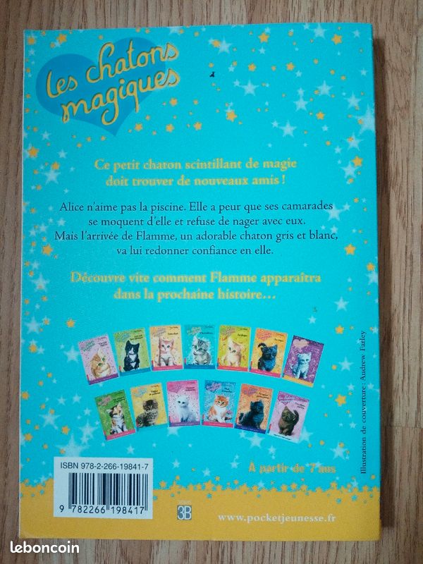 Les chatons magiques à la piscine (image 2)