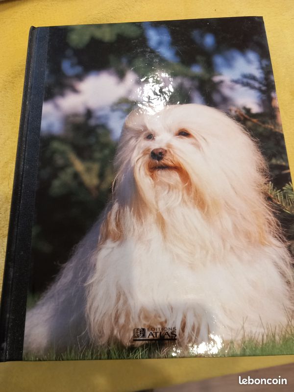 Mon compagnon le chien (image 4)
