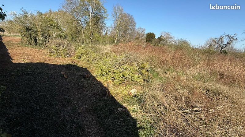 Terrain à bâtir 7000m2 · à Buire-Courcelles · 65 000 €