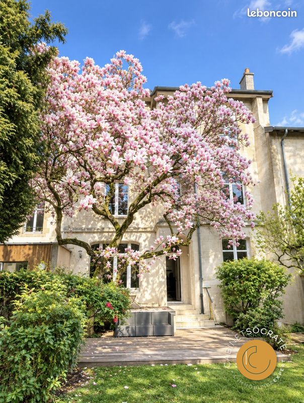 Maison 10 pièces 370 m² · à Nancy · 370 m² · 1 171 900 €