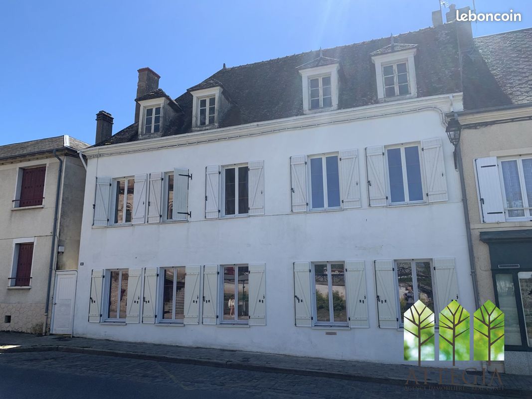 Maison 16 pièces 232 m² · à Châteaumeillant · 232 m² · 90 000 €
