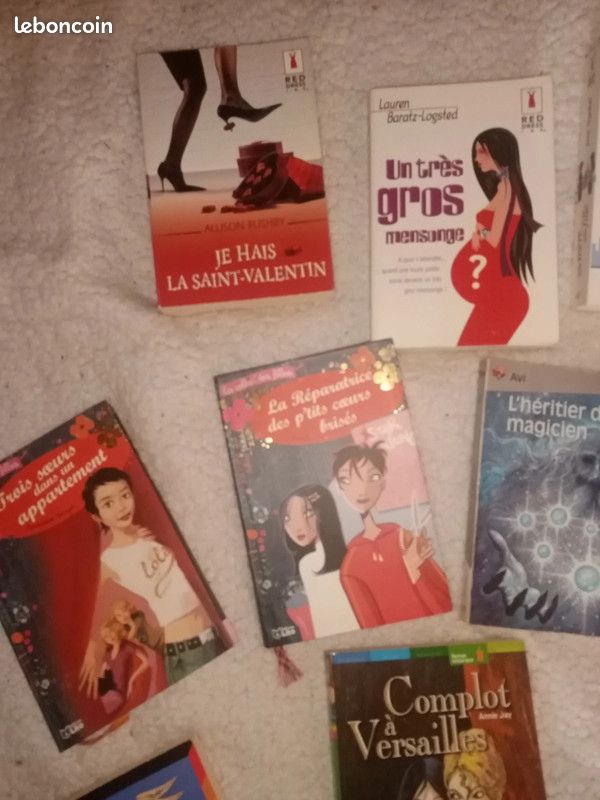 Livres jeunesse (image 5)