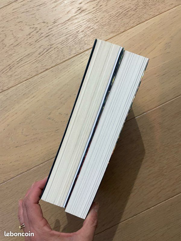 Lot de 2 romans de J.K. Rowling en parfait état : Jack et la grande aventure du cochon de Noël + L’Ickabog (image 7)