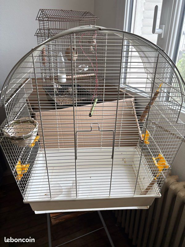 Cage oiseaux (image 1)