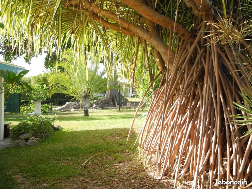 Villa Mangue-Passion (image 13)